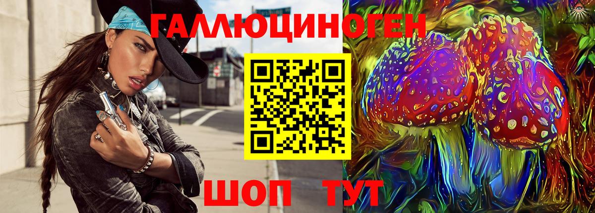 Тимашёвск  Галлюциногенные грибы MAGIC MUSHROOMS  Вход с VPN 